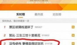 卓伟最新爆料徐璐事件,真相背后引热议